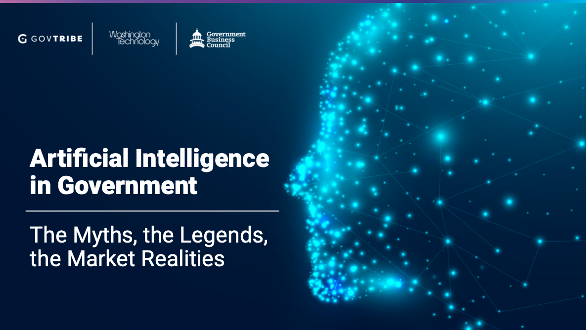 AI in Government report